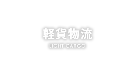 main_light_cargo